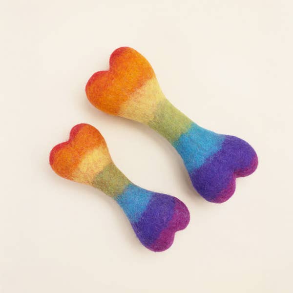 MODERNBEAST: RAINBOW WOOLBONE Wool Dog Toy: Small