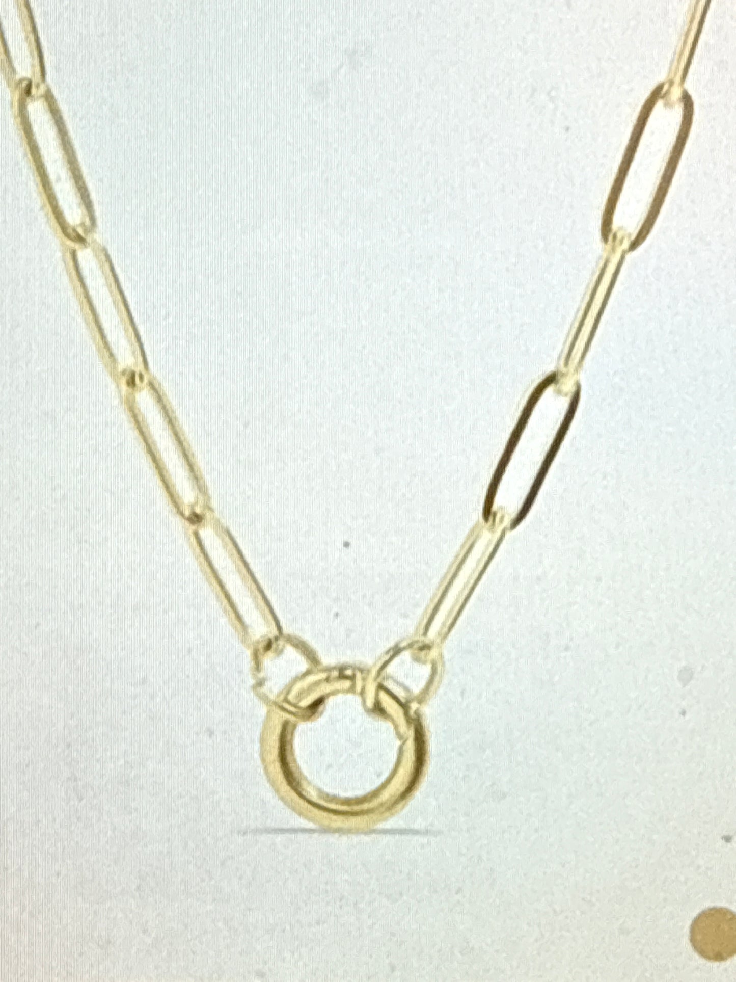 Charm Keeper 18k pvd over stainless necklace