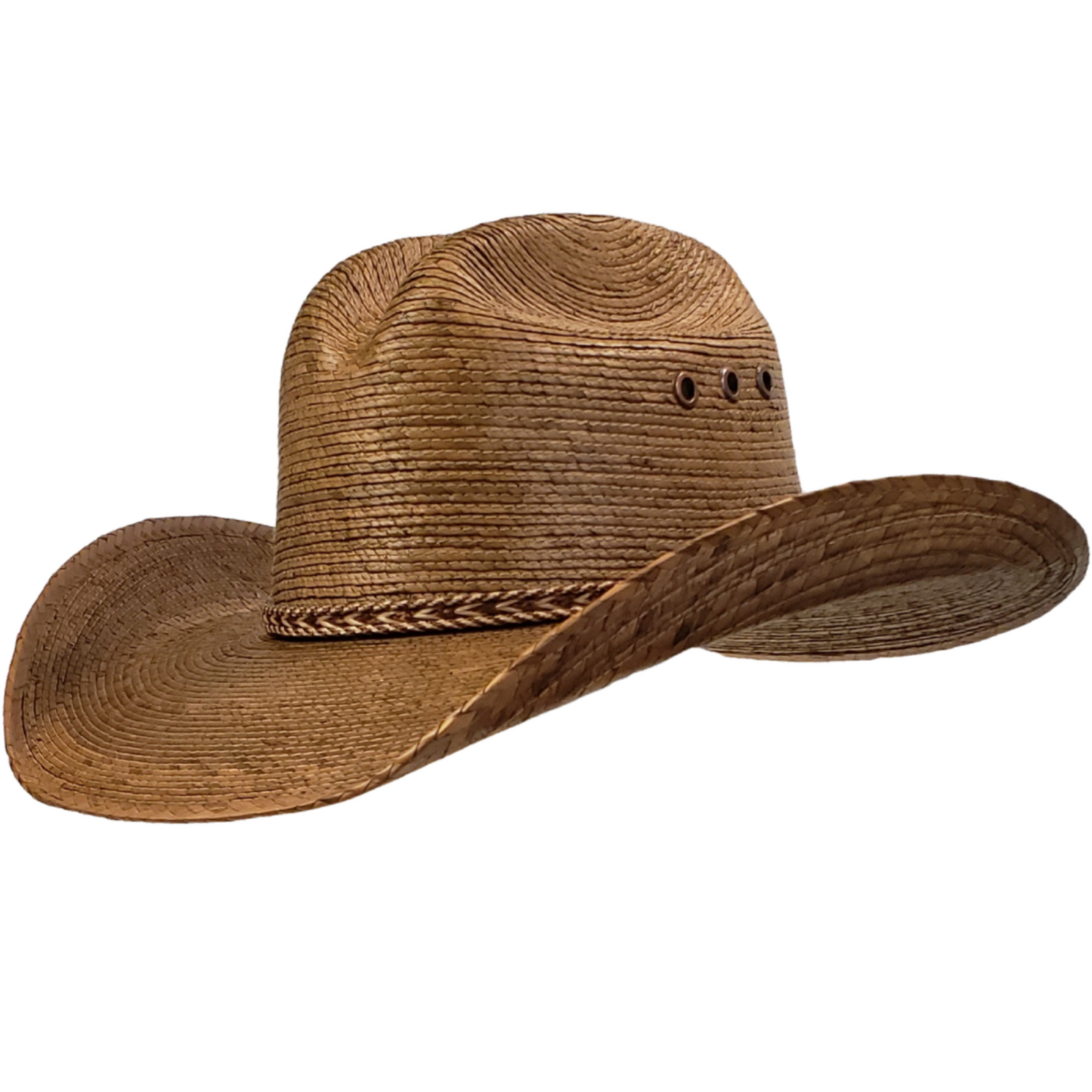 Backroads Brown - Palm