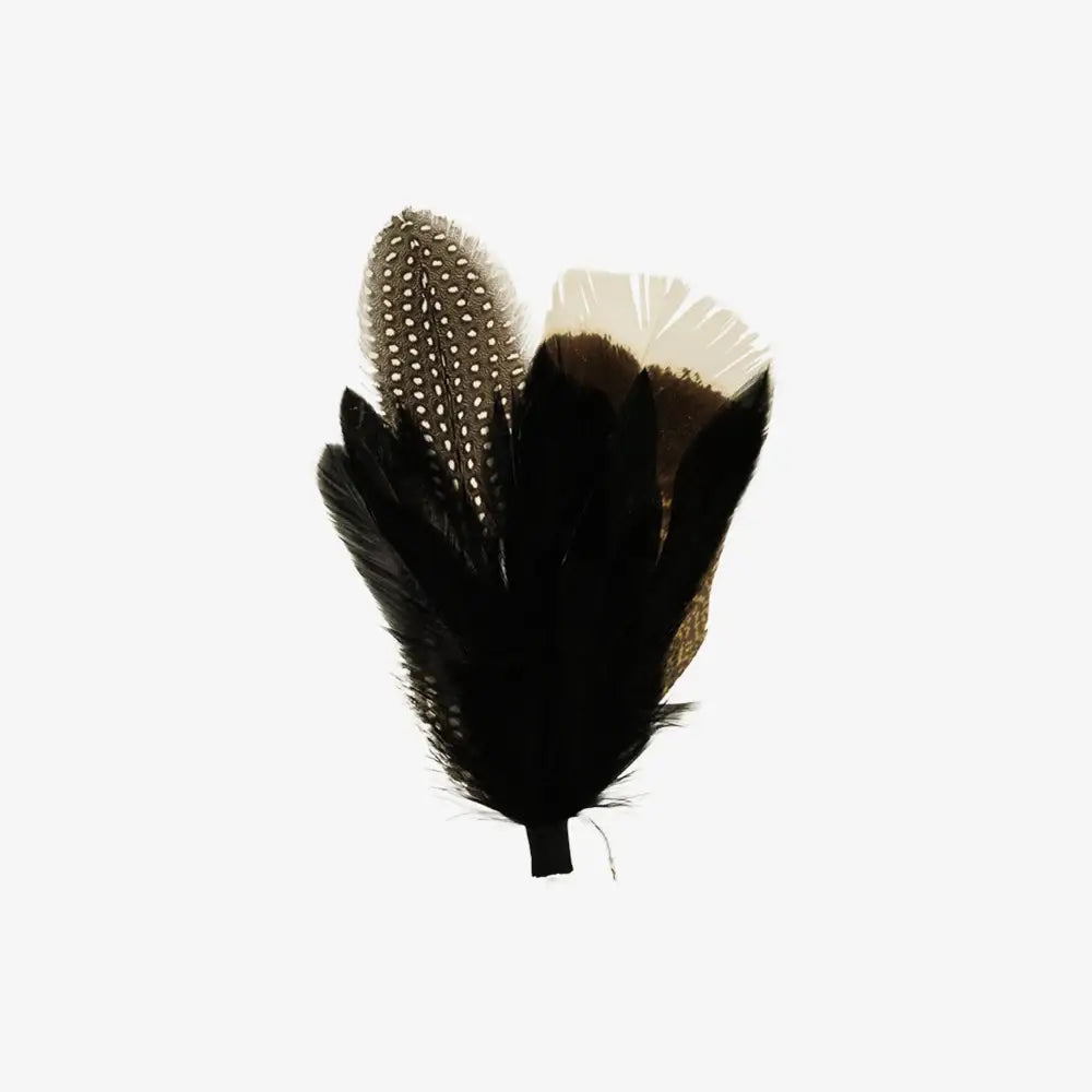 A.H. Black Hat Feather - Style Genesis